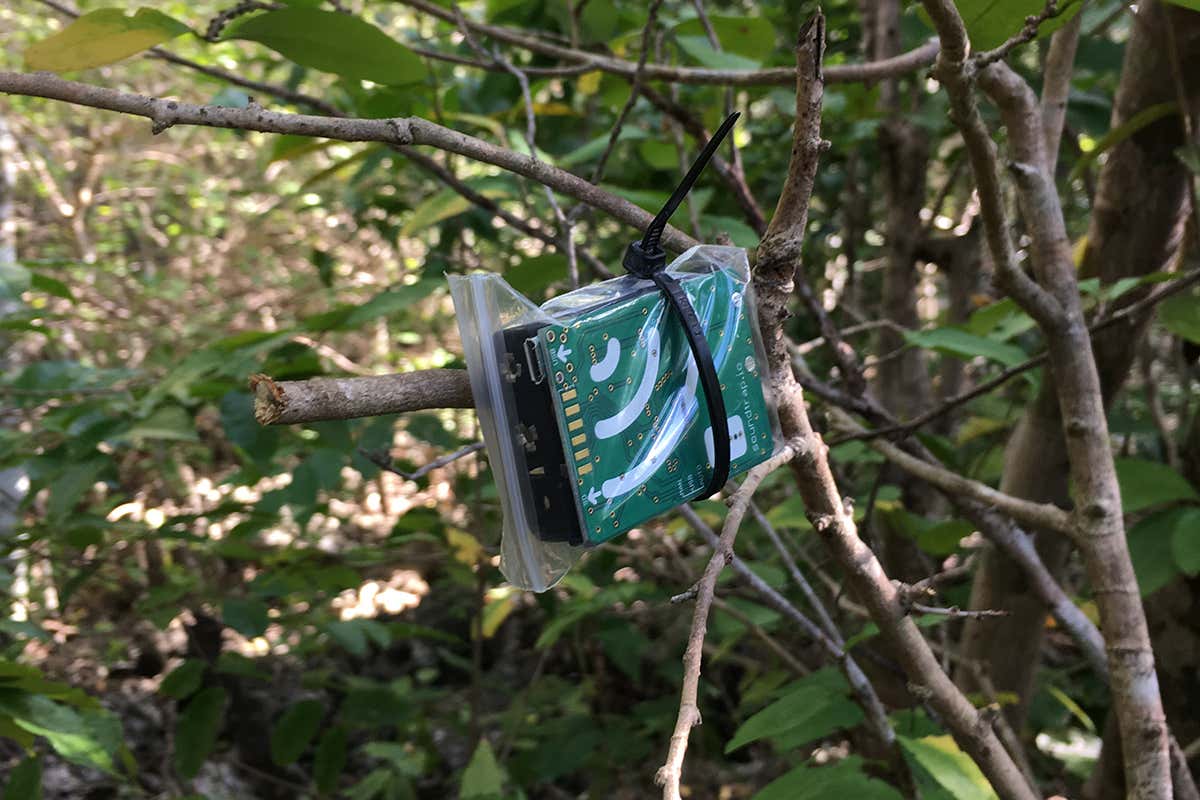 Dozens of sound traps track the bats at night
