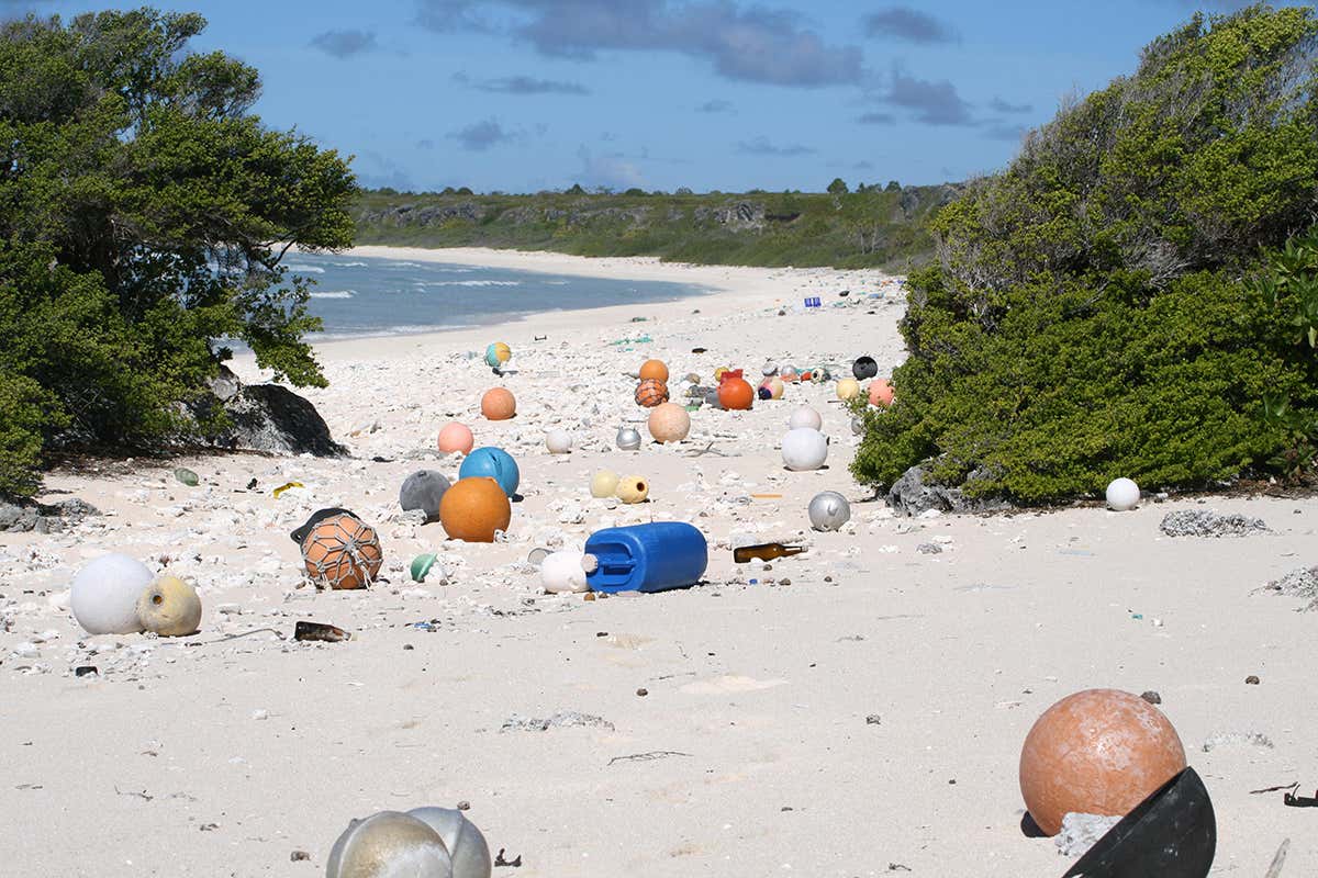 Plastic pollution on beach
