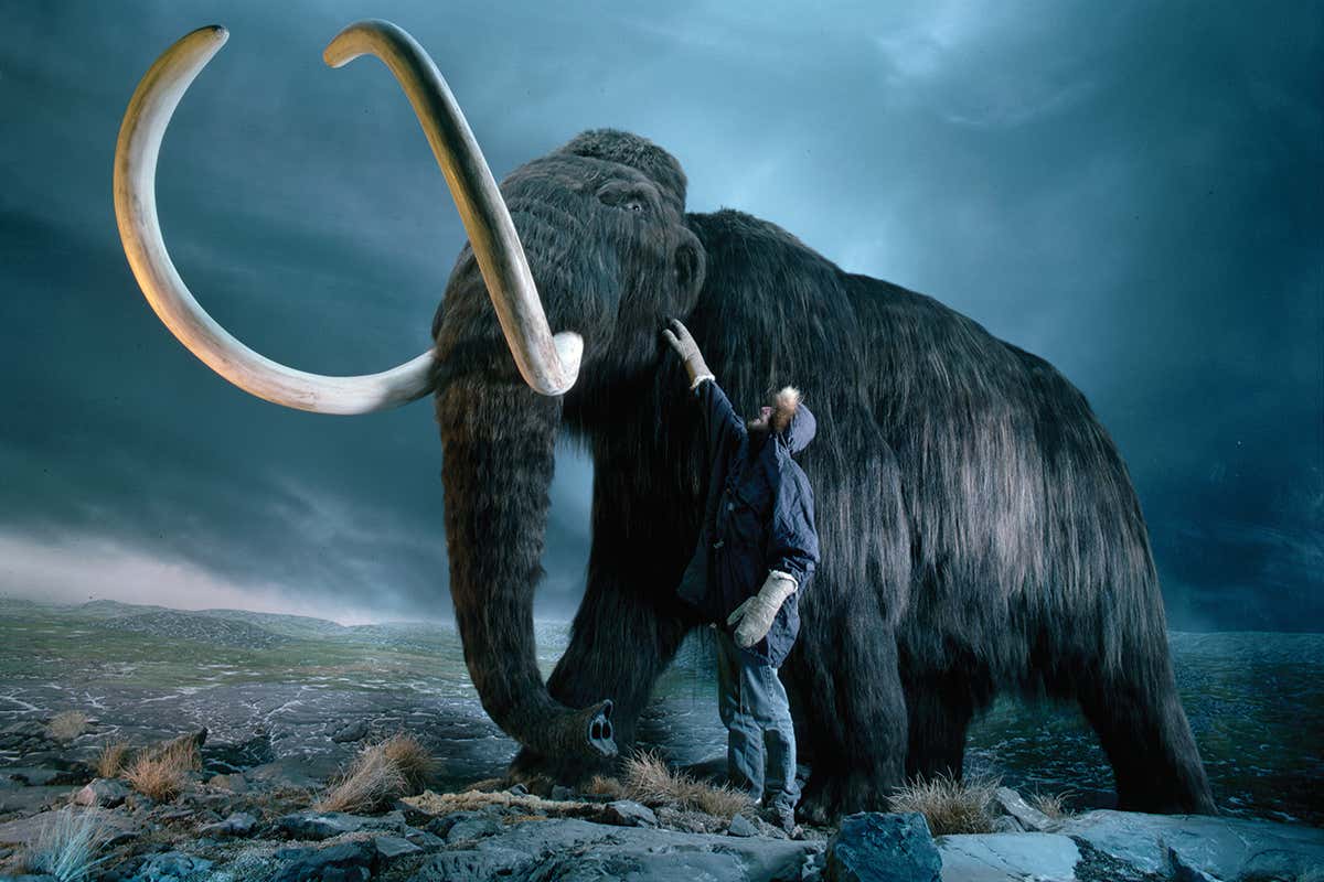 mammoth