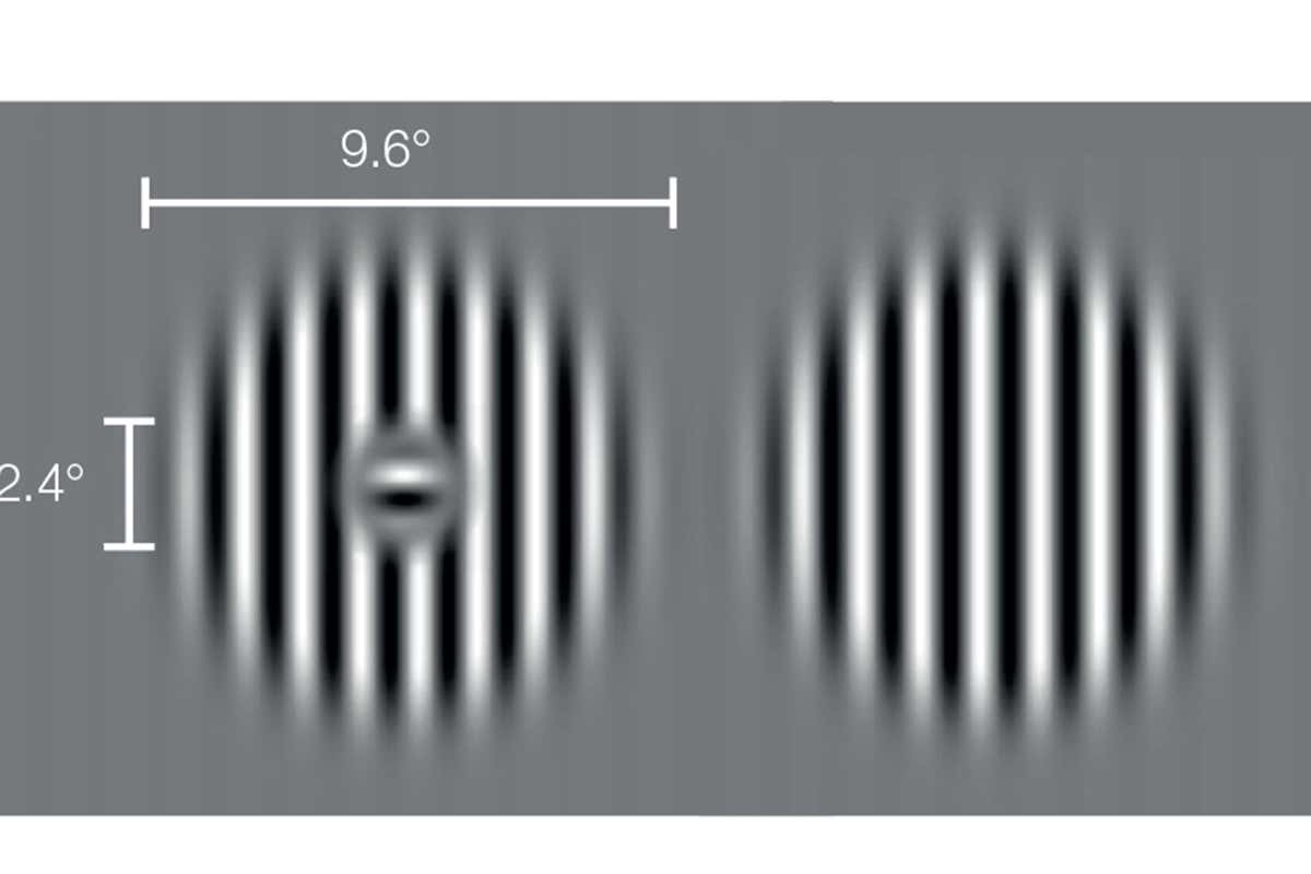 The striped stimuli used in the study of how our brain treats blind spots