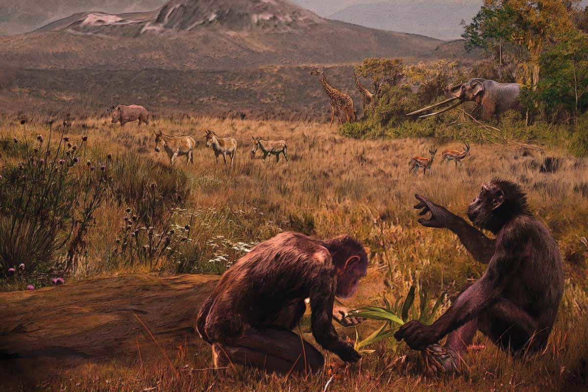 Graecopithecus seems to be different from any other ancient ape found in Europe