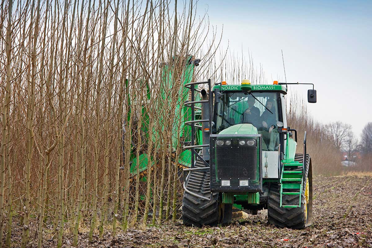 Tractor cutting down biomass