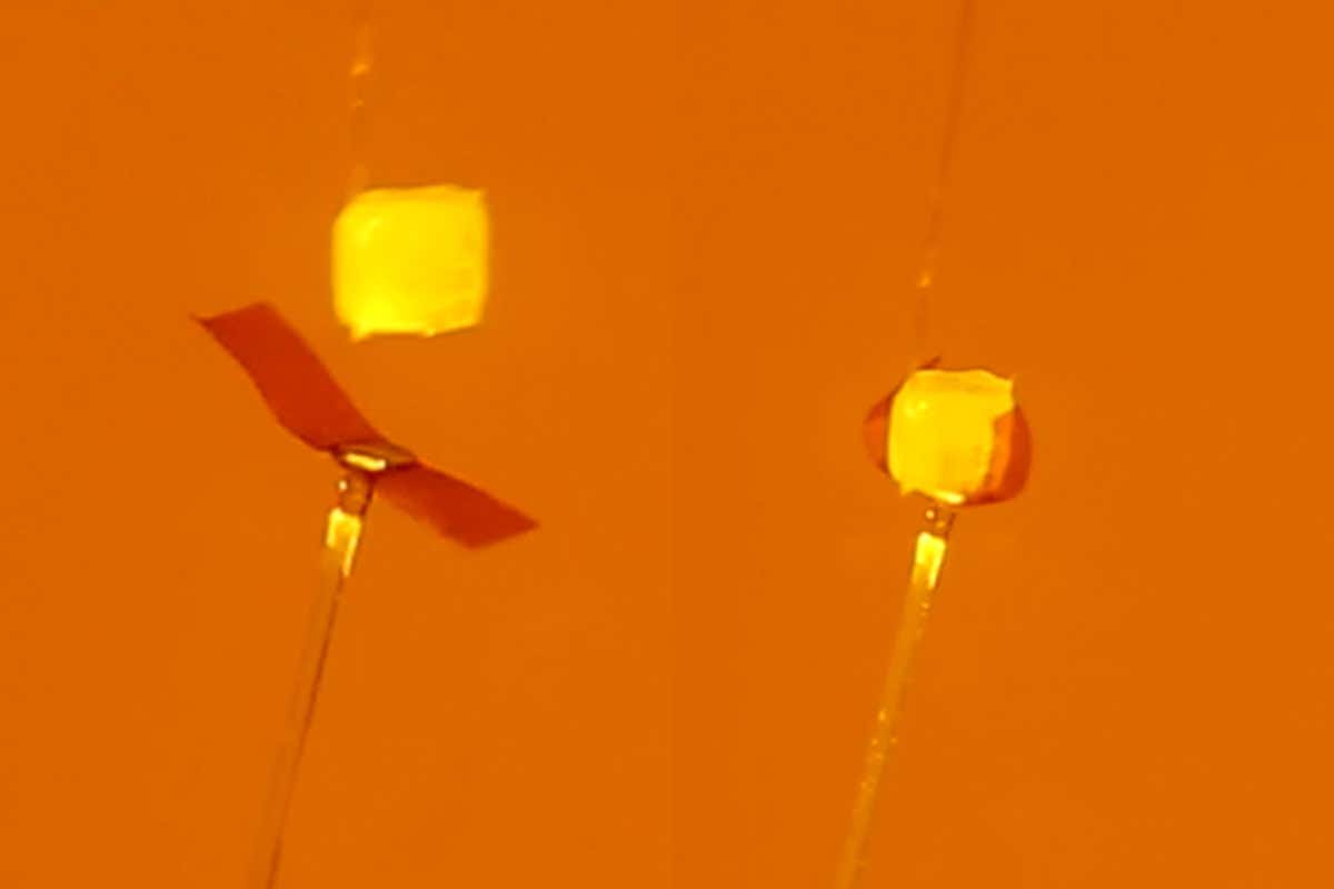 Artificial Venus flytrap