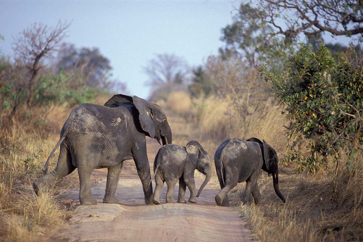 Three amazing nature areas shortlisted for World Heritage status