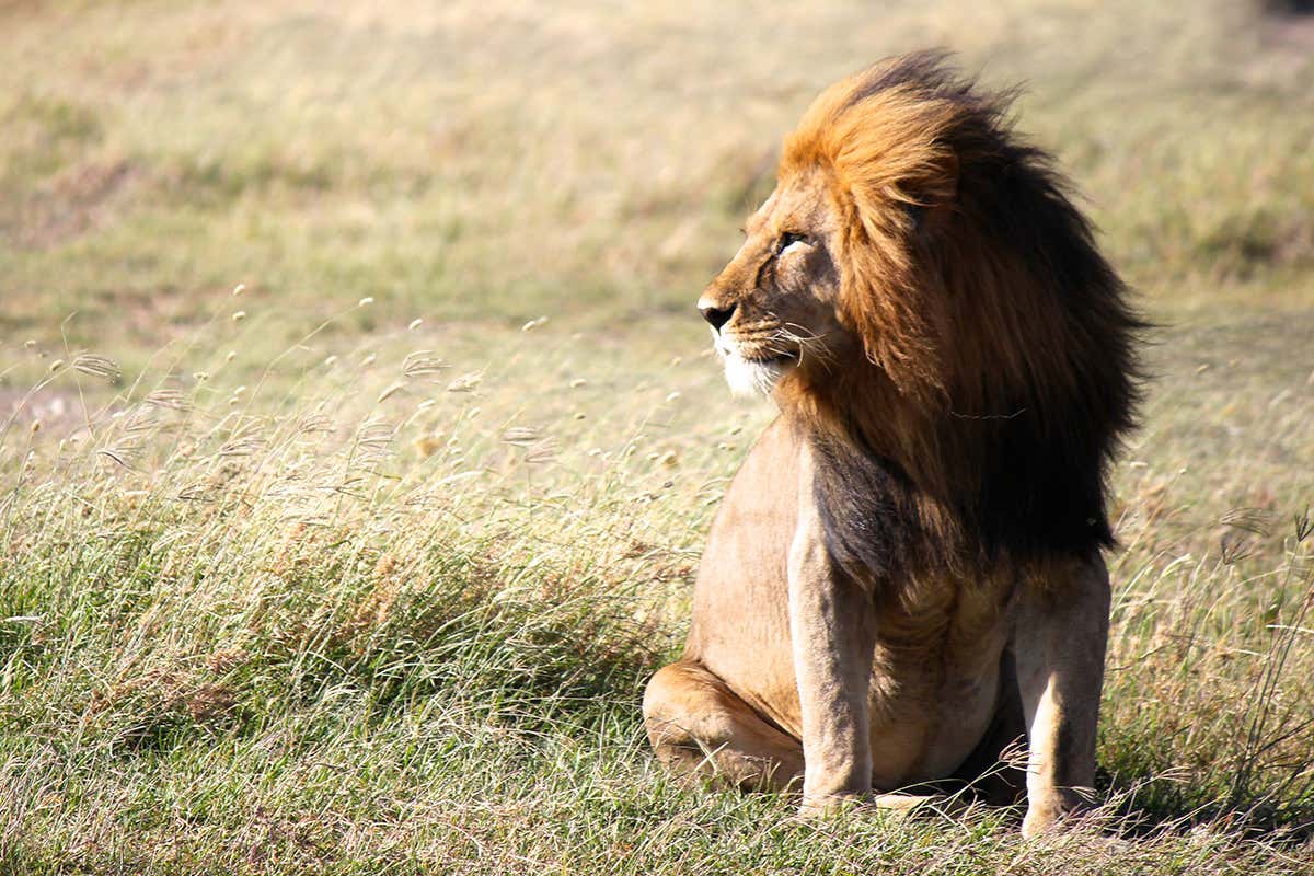 New Scientist. Science news and long reads from expert journalists, covering developments in science, technology, health and the environment on the website and the magazine.
