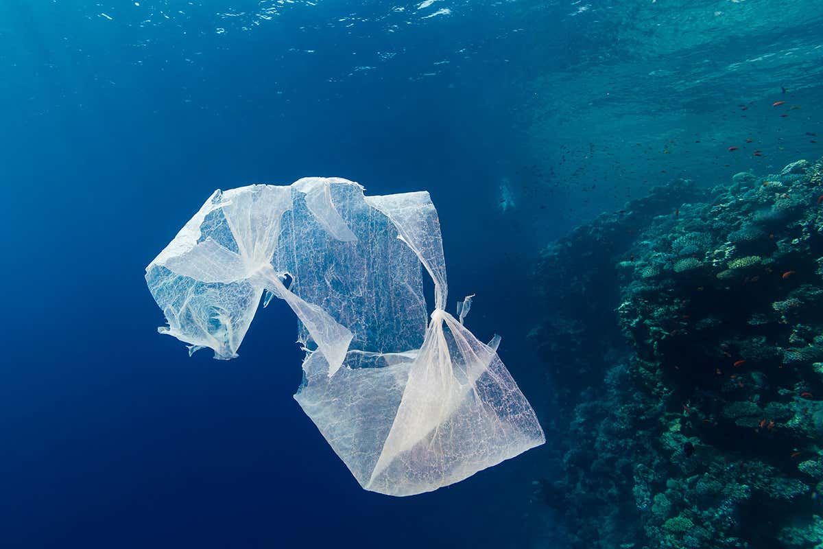 There's less plastic in the oceans than there should be