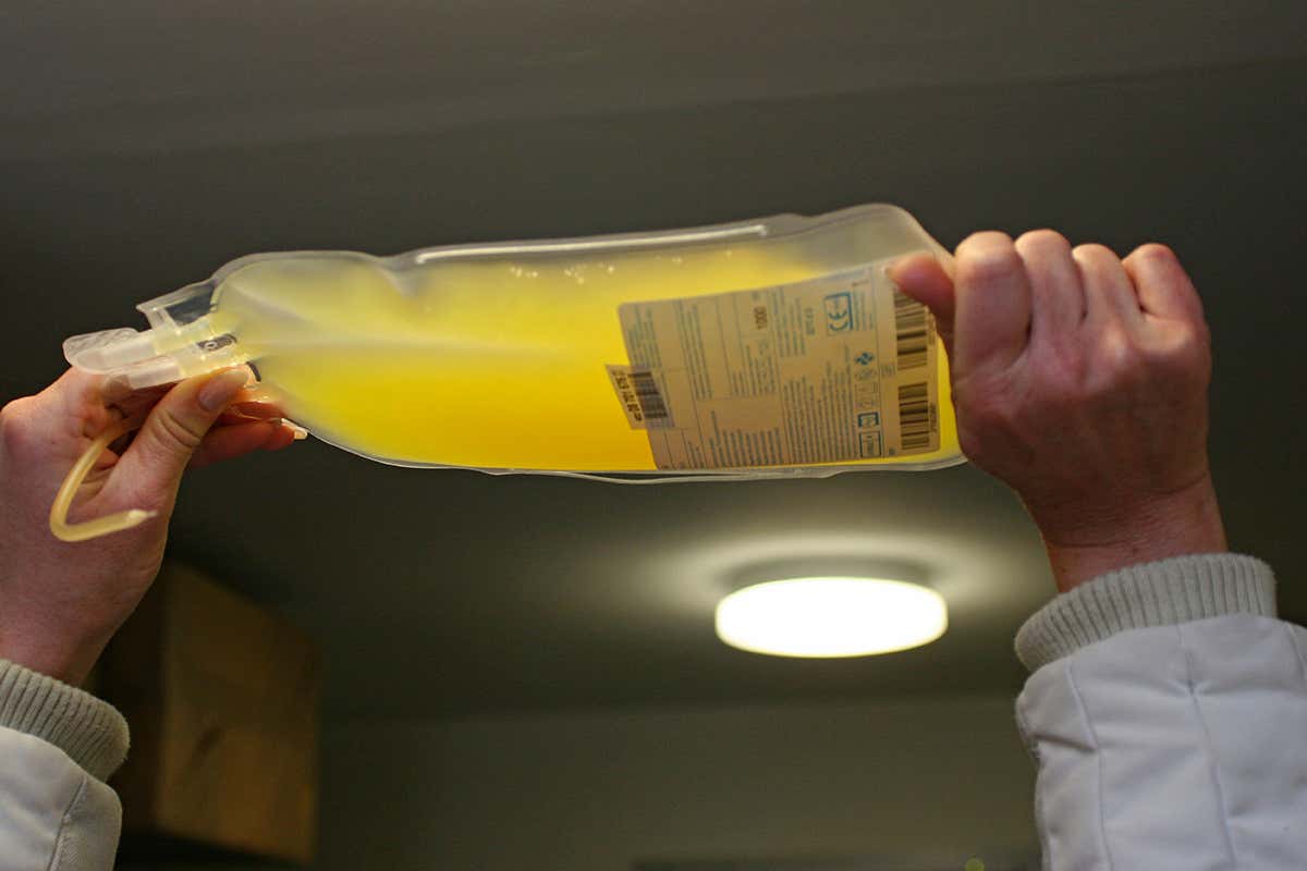 A bag of blood plasma