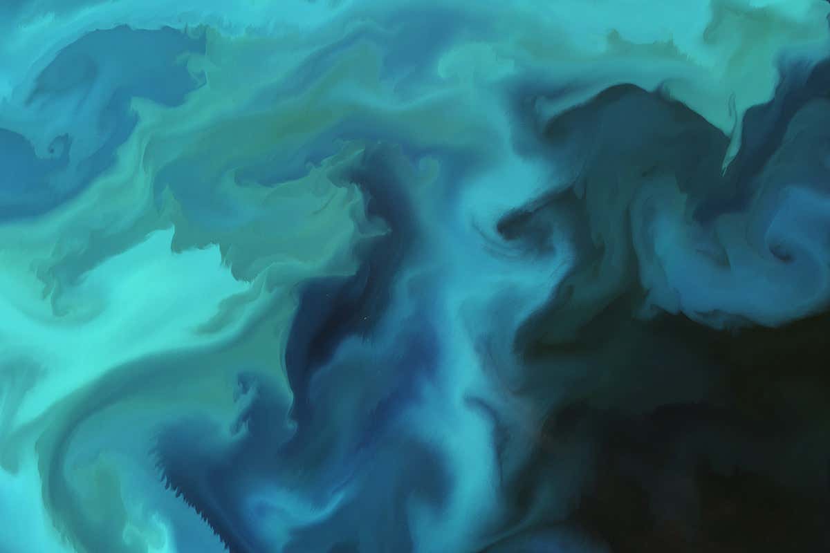 naturally occurring phytoplankton bloom