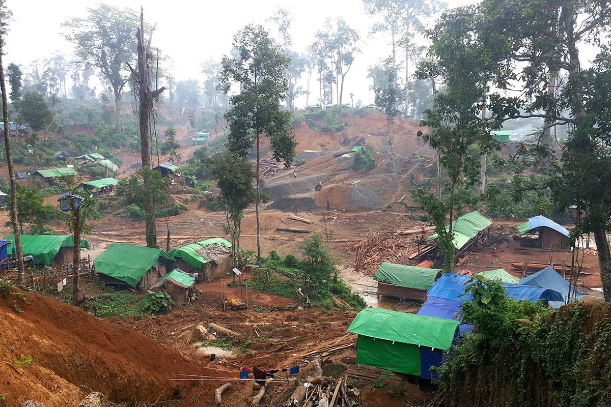 Field site where it was found