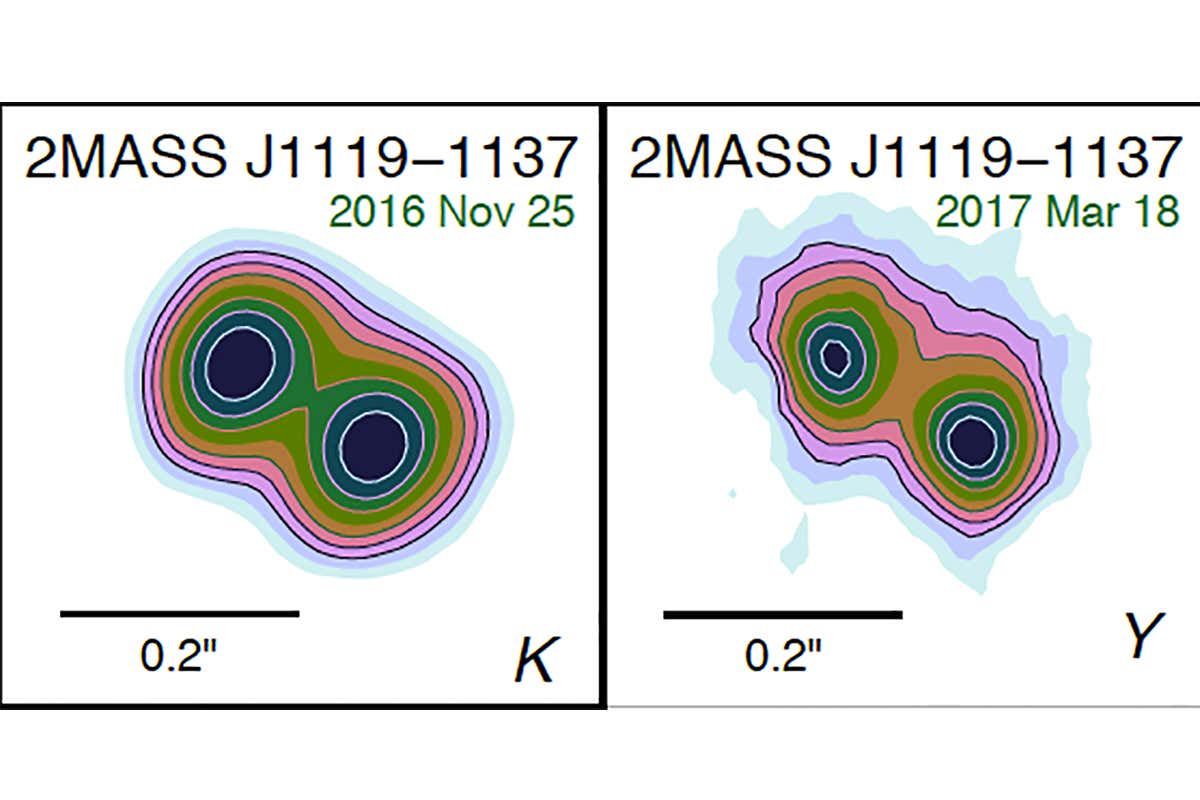 two maps of heat maps of twin plants side by side