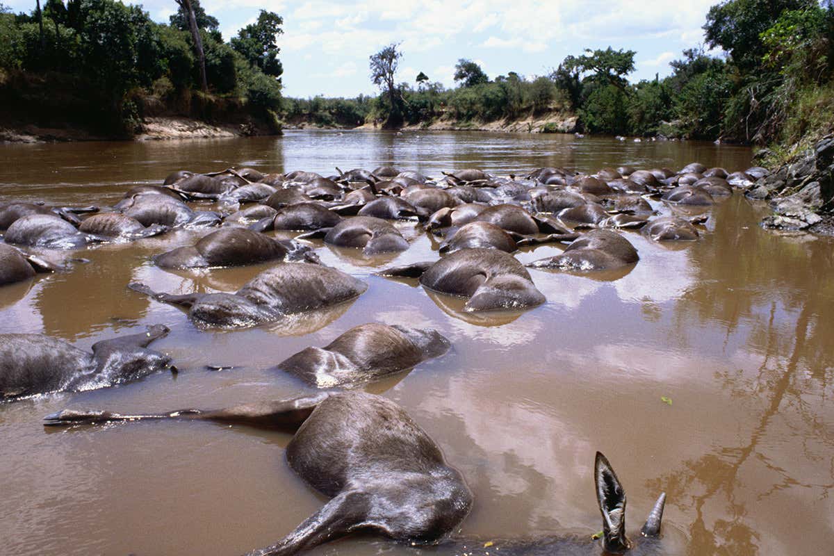 New Scientist. Science news and long reads from expert journalists, covering developments in science, technology, health and the environment on the website and the magazine.