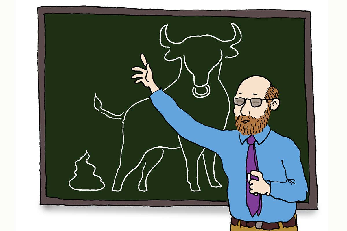 bull cartoon