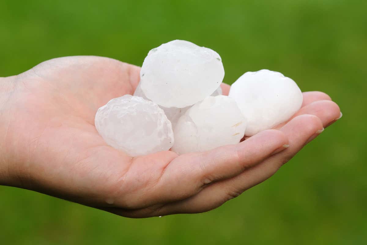 A handful of golf-ball-sized hailstones