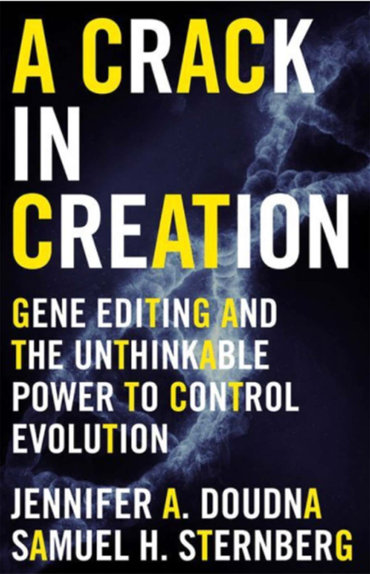 Creation book cover