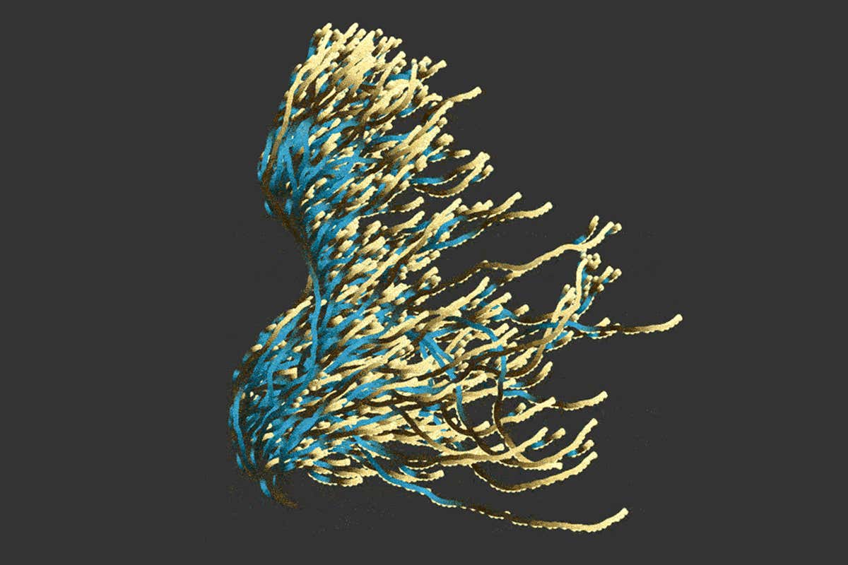 Mathematics has a bad hair day