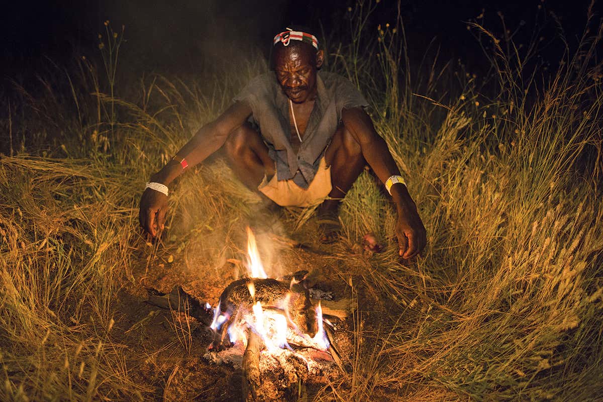 New Scientist. Science news and long reads from expert journalists, covering developments in science, technology, health and the environment on the website and the magazine.