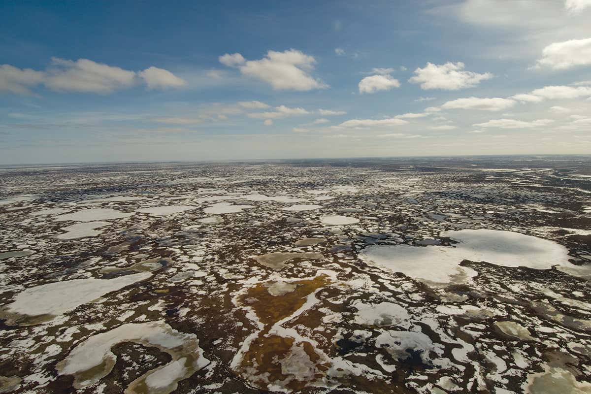 Melting tundra