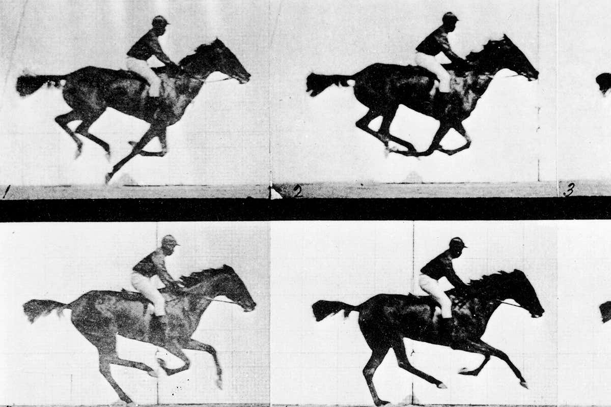 Eadweard Muybridge's photographic study of a horse at full gallop