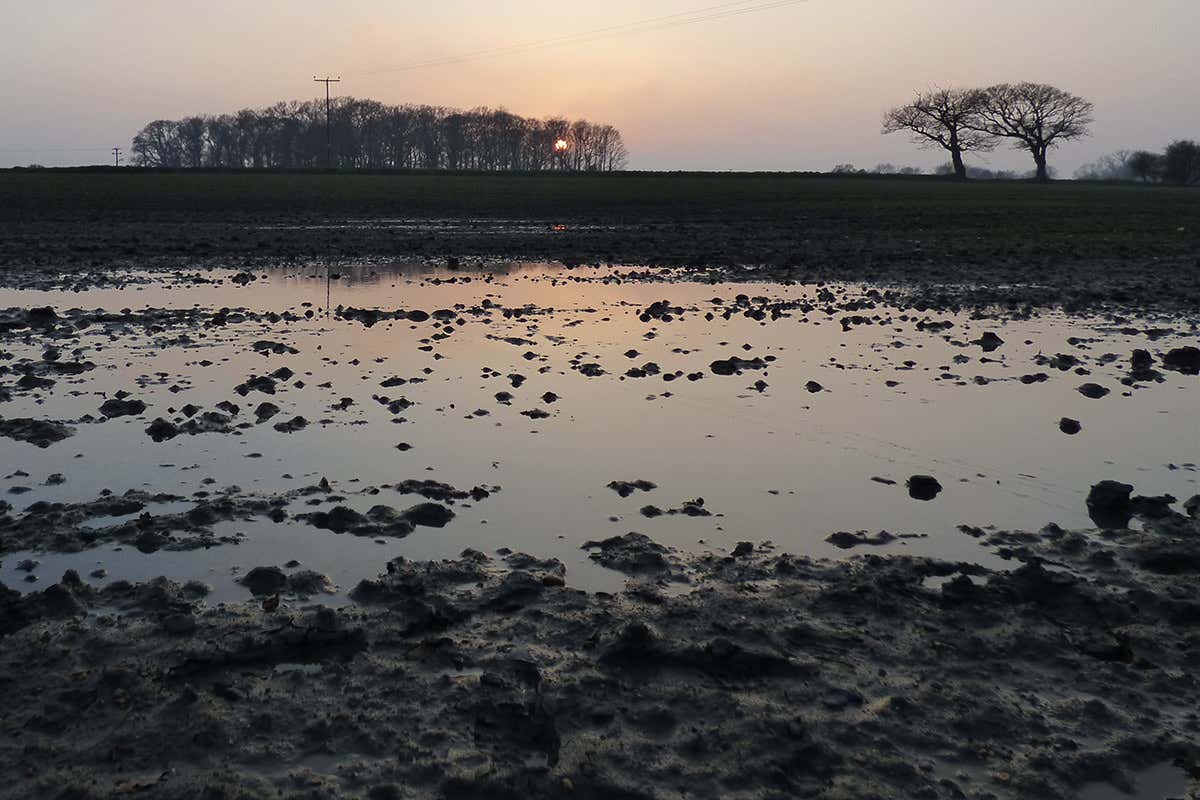 A view accross farmland with a little water on the surface