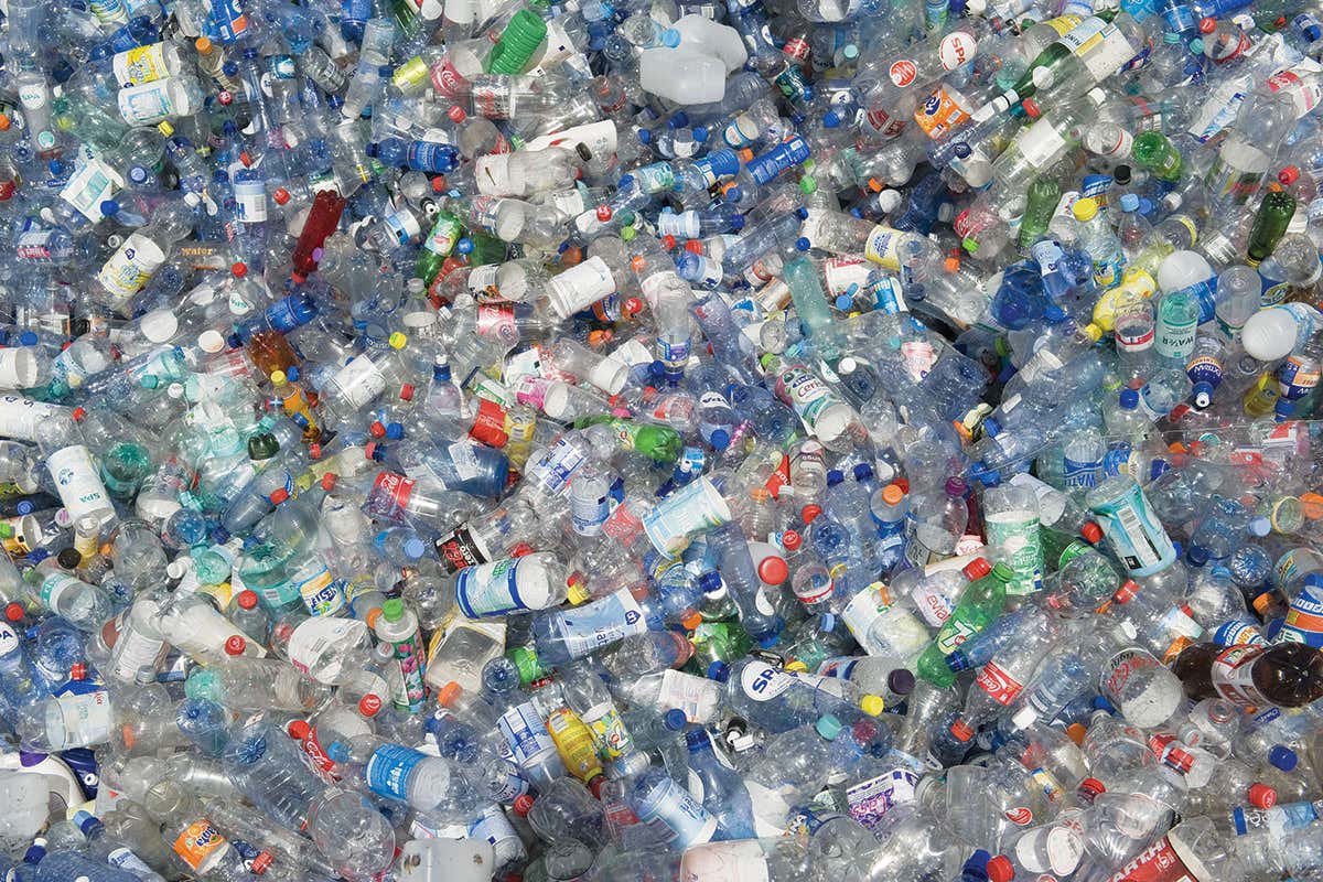 plastic bottles