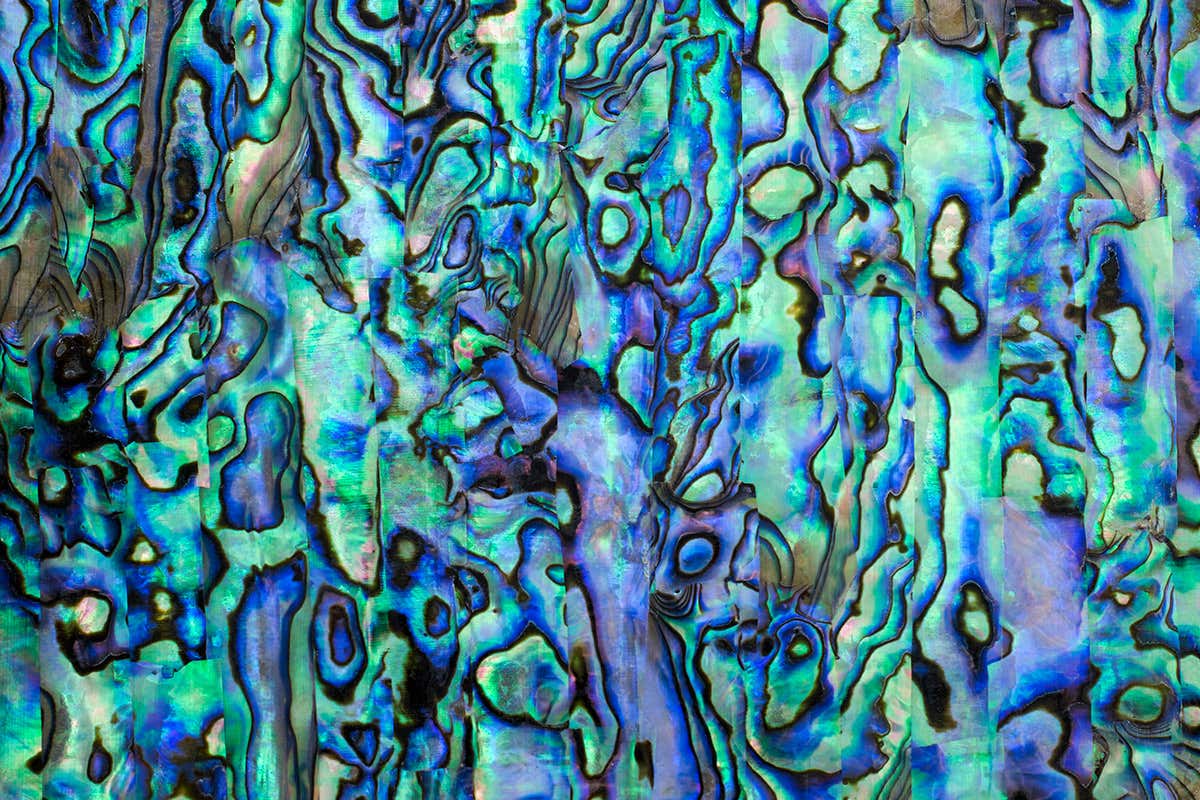 Plastics made fireproof thanks to mother-of-pearl mimic