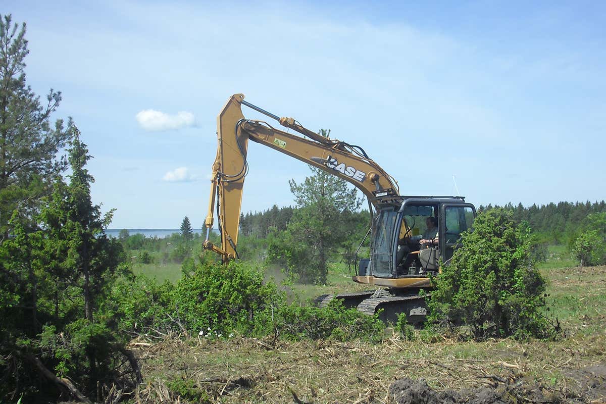 Digger removing trees and shrubs