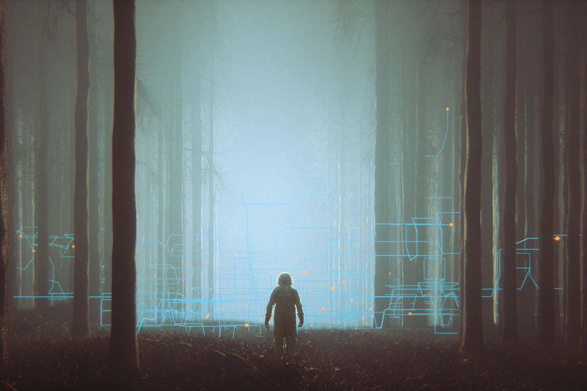 Foggy background forest with outline of child in the foreground
