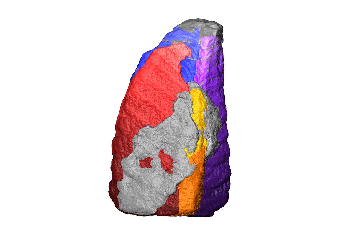 A virtual reconstruction of Rangea from CT scans