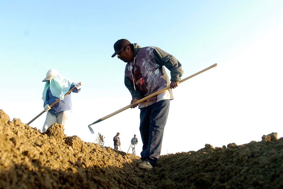 workers tilling the soil