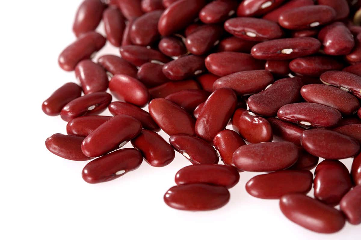 Lectin-free is the new food fad that deserves to be skewered