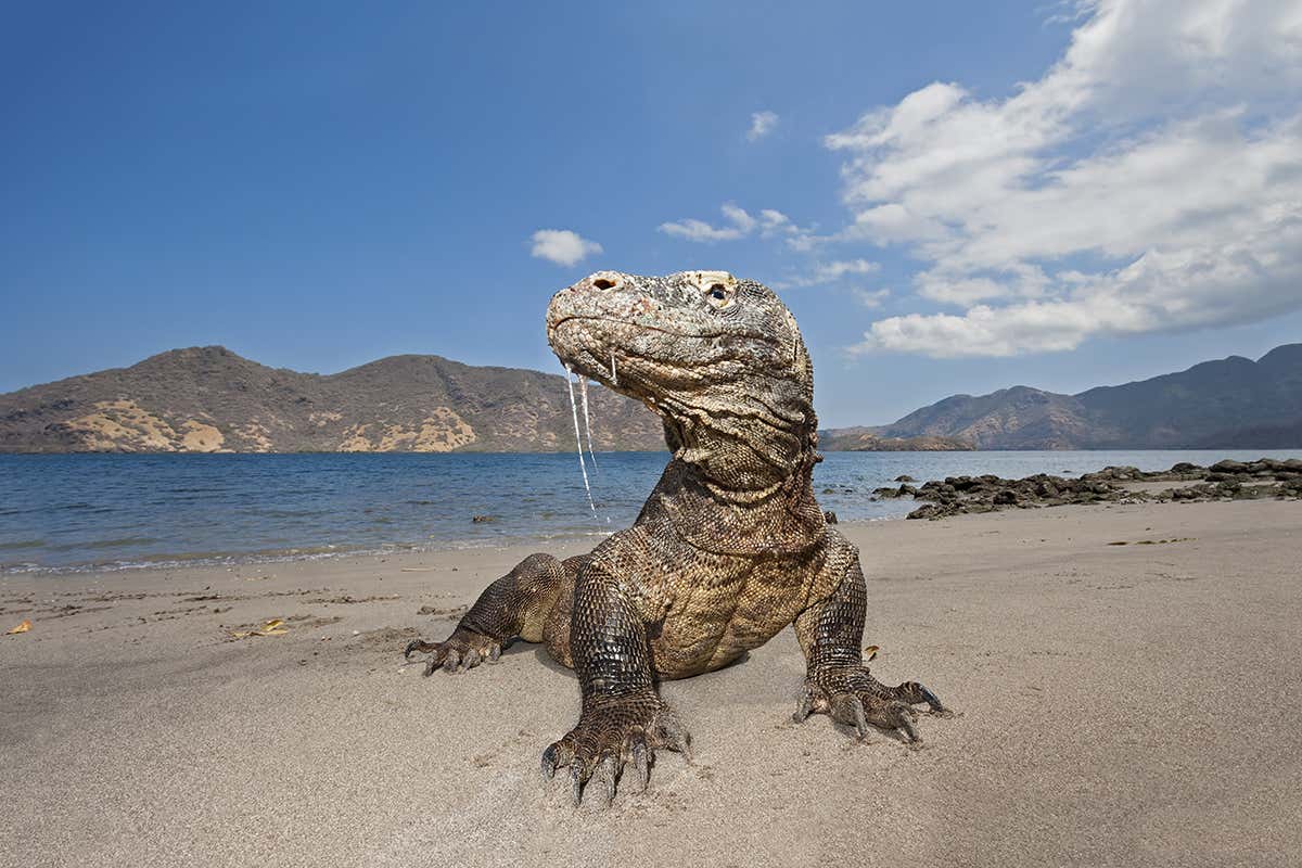 New Scientist. Science news and long reads from expert journalists, covering developments in science, technology, health and the environment on the website and the magazine.