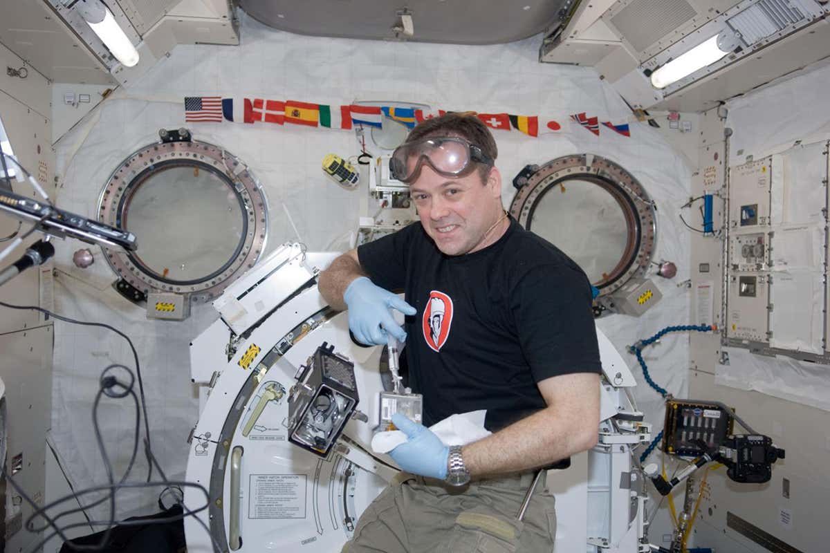 Watering space cucumbers