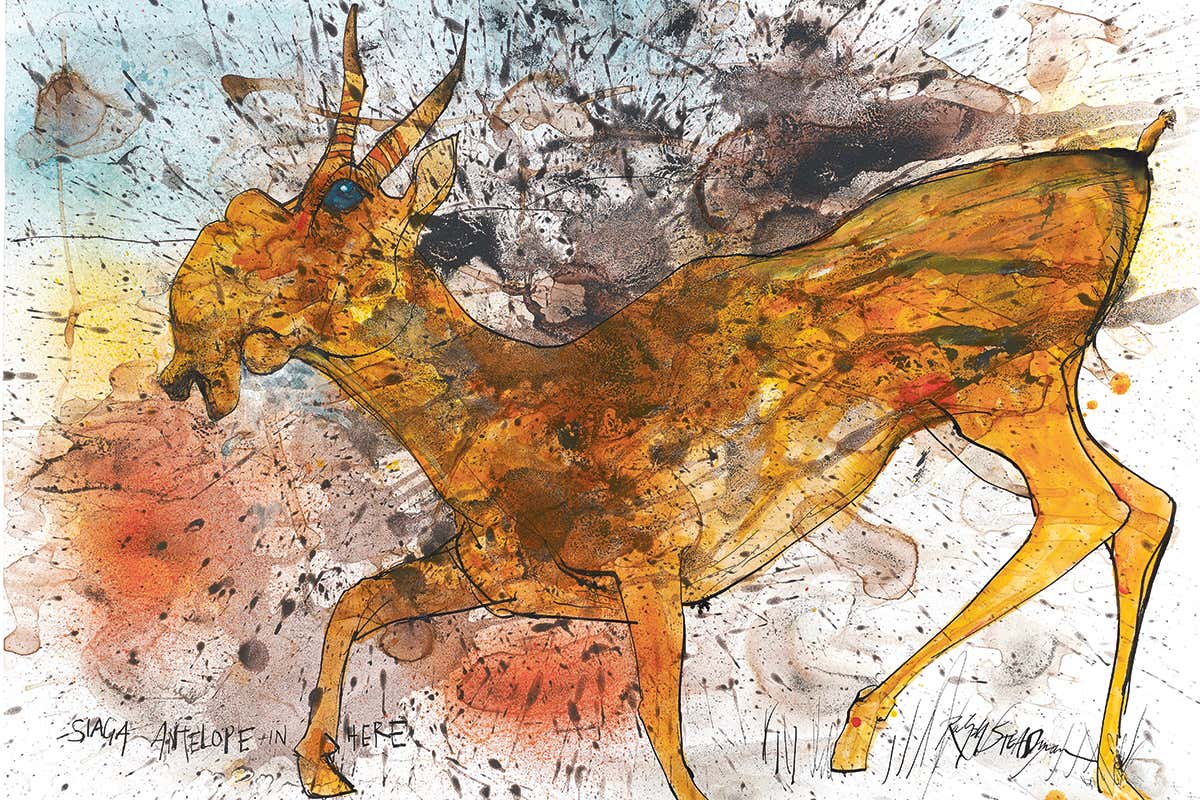 New Scientist. Science news and long reads from expert journalists, covering developments in science, technology, health and the environment on the website and the magazine.