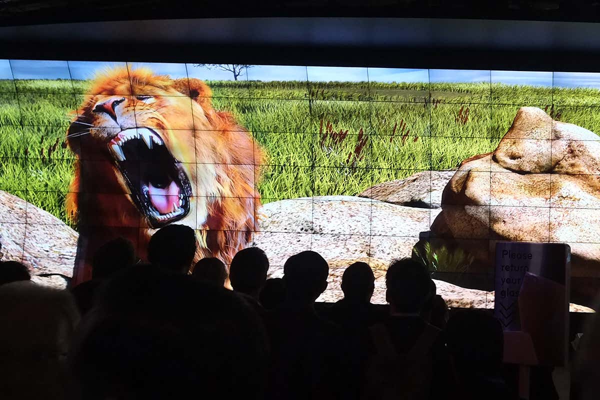 DeepMind AI teaches itself about the world by watching videos