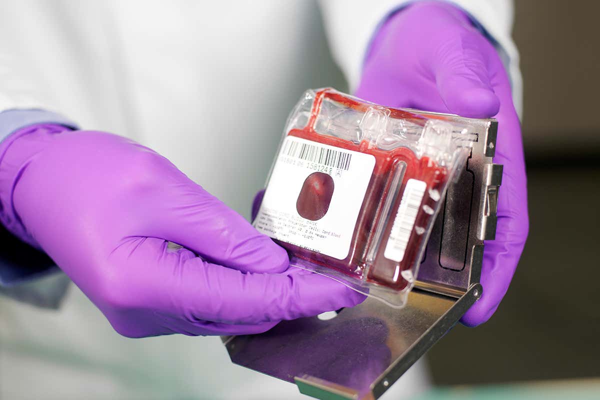 I paid £2000 to bank my son’s cord blood, but couldn’t use it