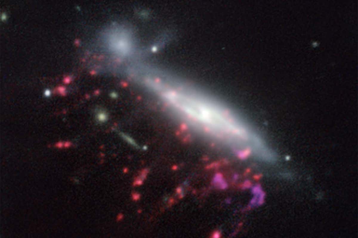 jellyfish galaxies