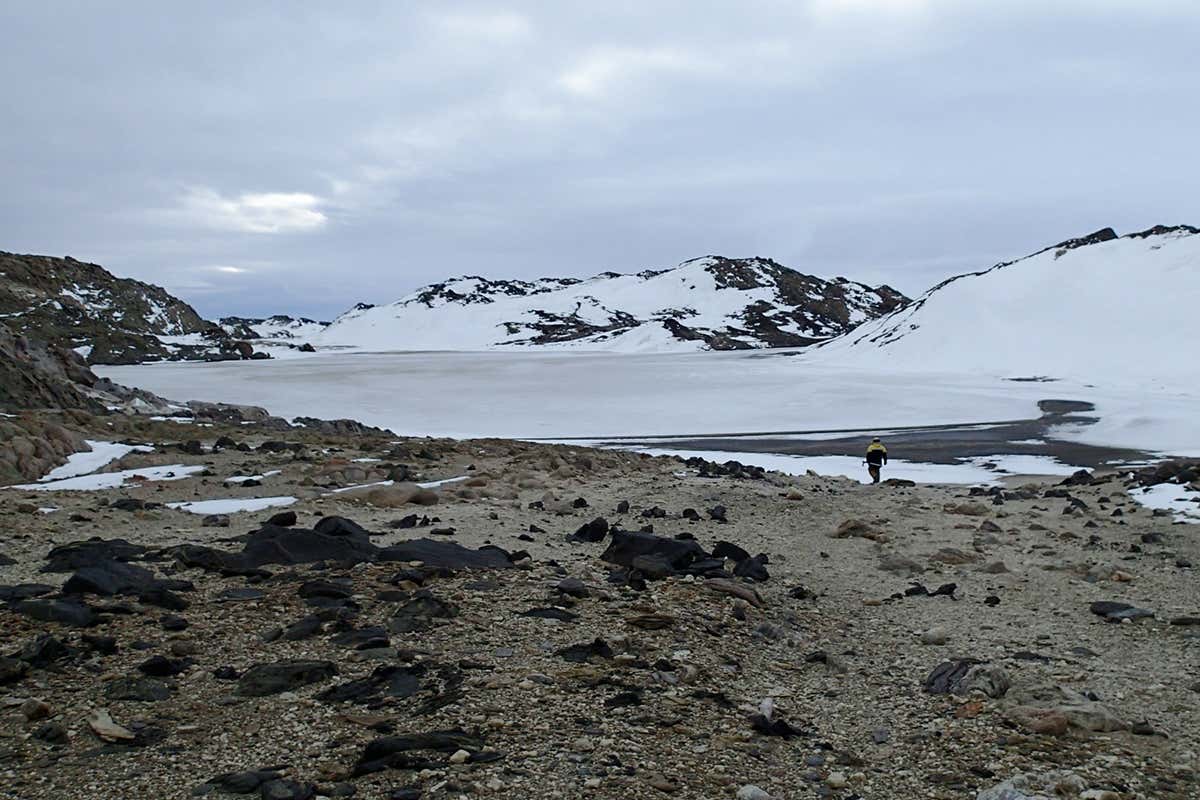 A lake in Antarctica where the R1S1 strain of Halorubrum lacusprofundi was discovered