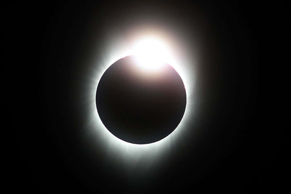 New Scientist. Science news and long reads from expert journalists, covering developments in science, technology, health and the environment on the website and the magazine.