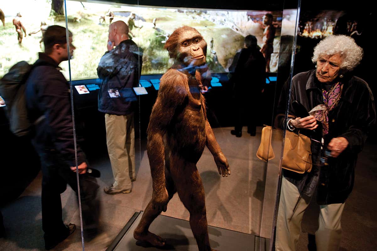 Who are you? How the story of human origins is being rewritten