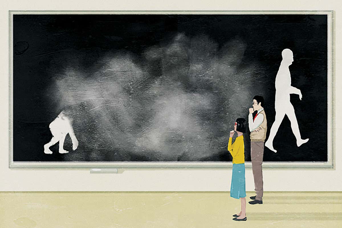 illustration ape to man