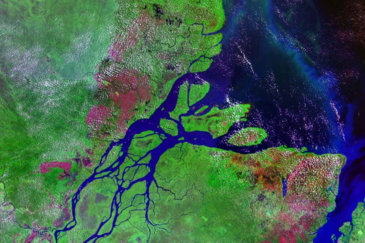 satellite image of the Amazon