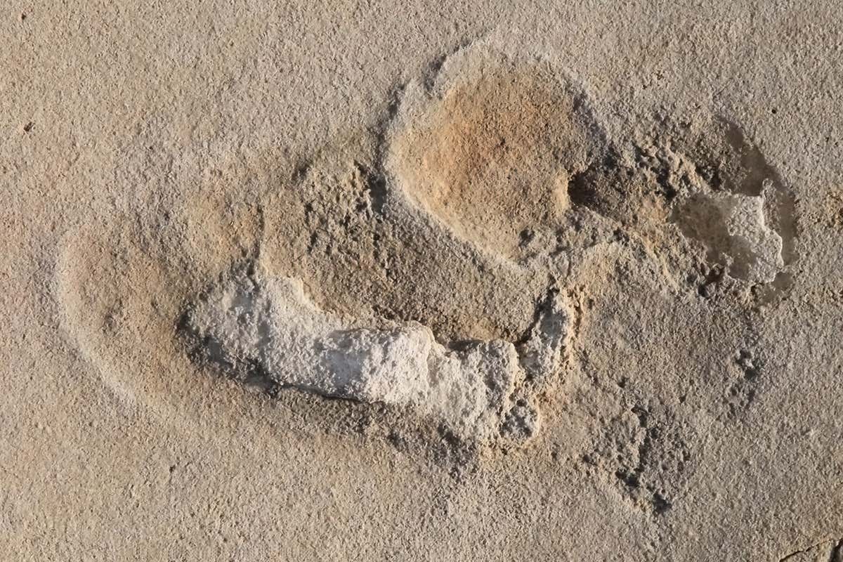 Picture showing one of the footprints discovered on a Greek island