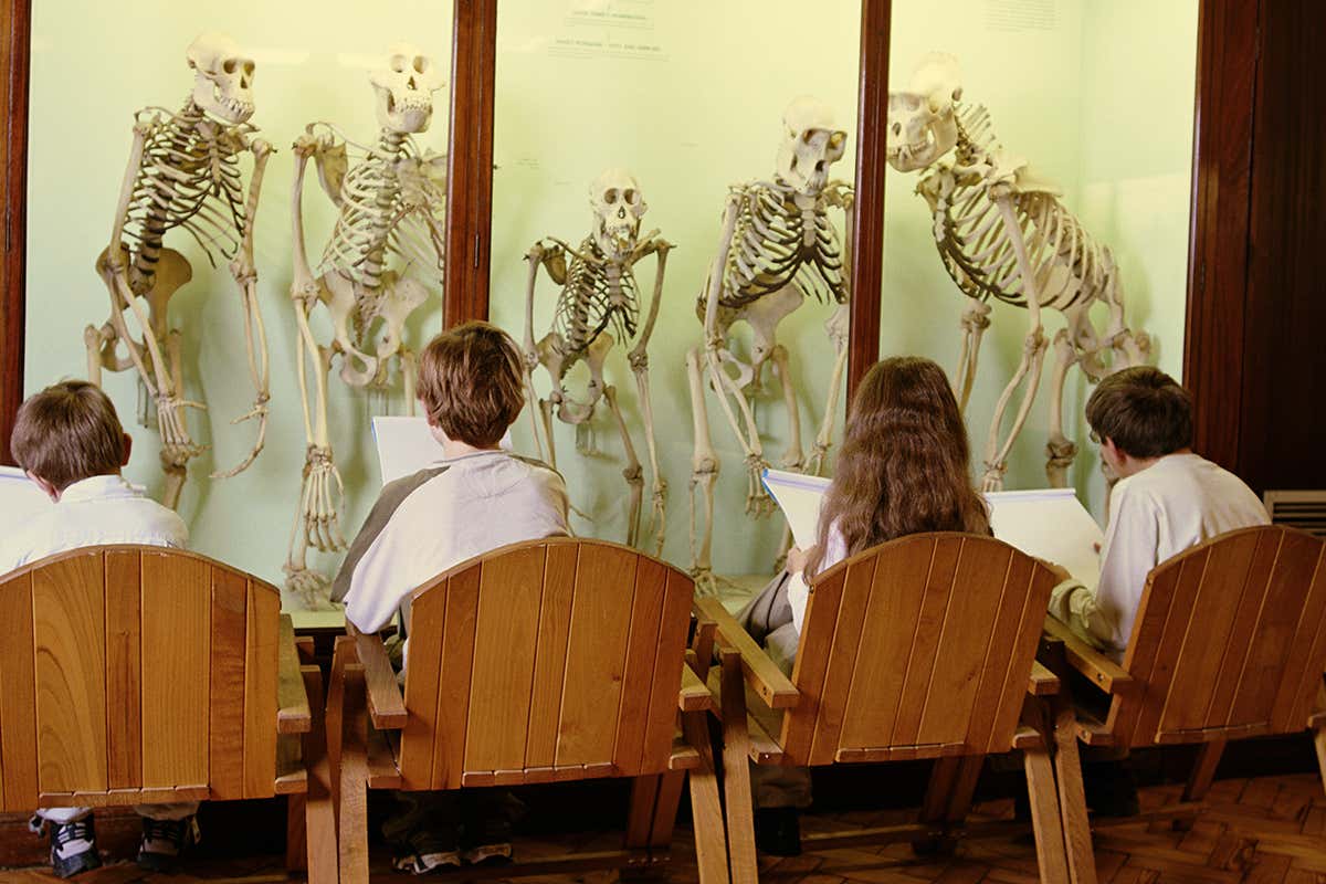 New Scientist. Science news and long reads from expert journalists, covering developments in science, technology, health and the environment on the website and the magazine.