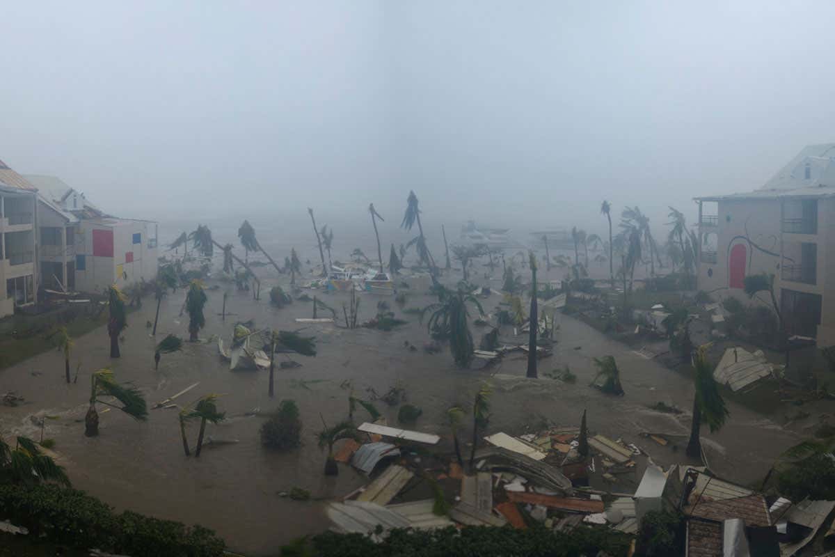 New Scientist. Science news and long reads from expert journalists, covering developments in science, technology, health and the environment on the website and the magazine.