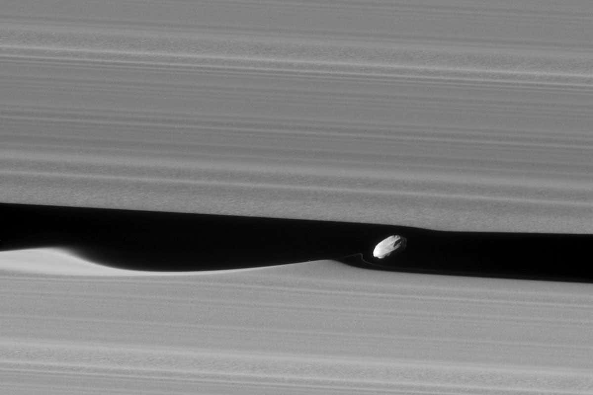 New Scientist. Science news and long reads from expert journalists, covering developments in science, technology, health and the environment on the website and the magazine.