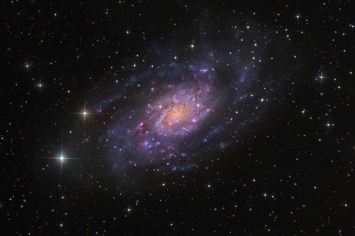 The spiral galaxy NGC 2403, containing the star known as 1954J