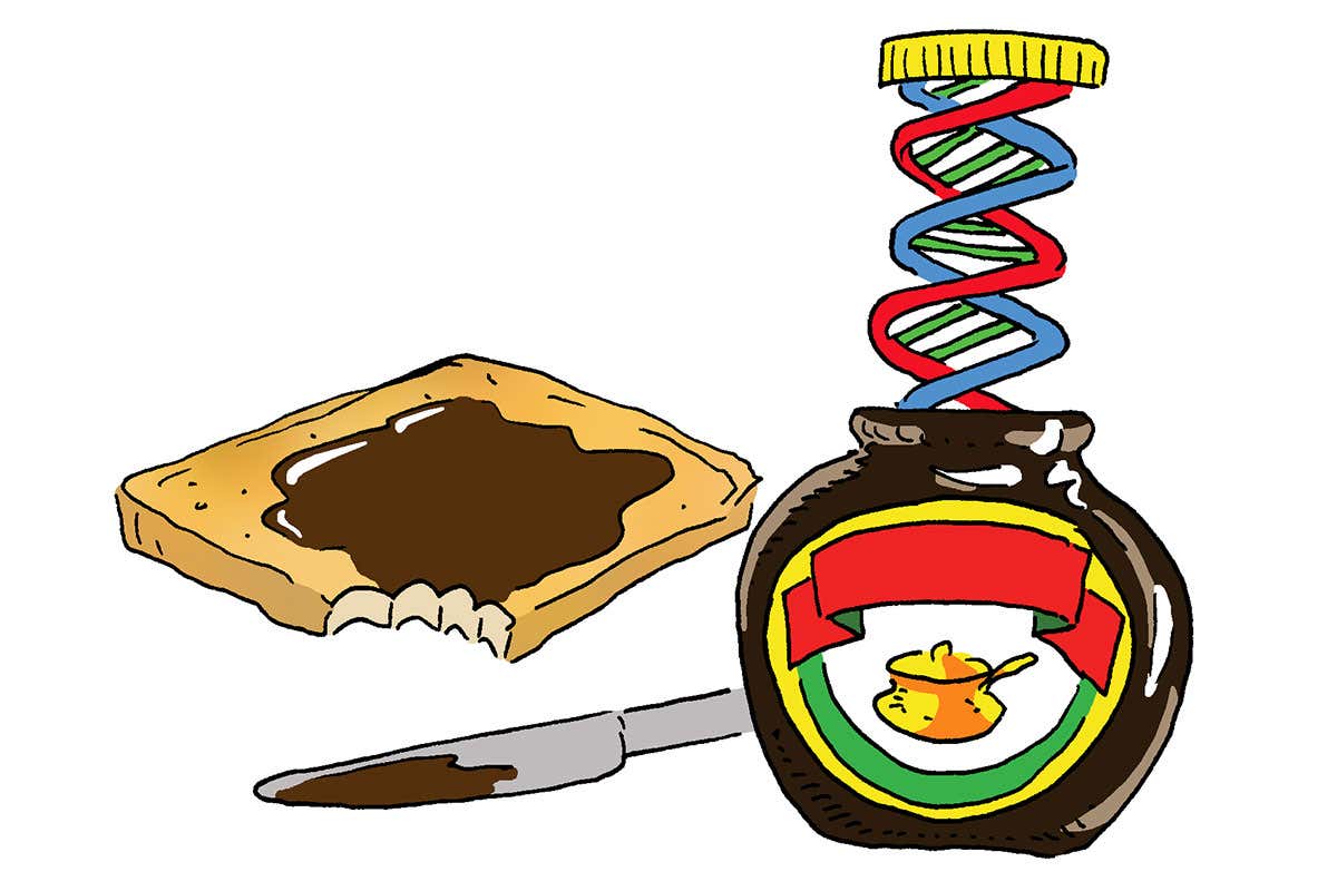 Paul McDevitt marmite