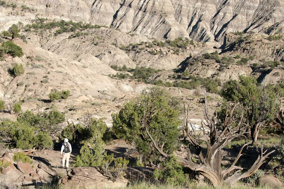 Site of dinosaur fossils