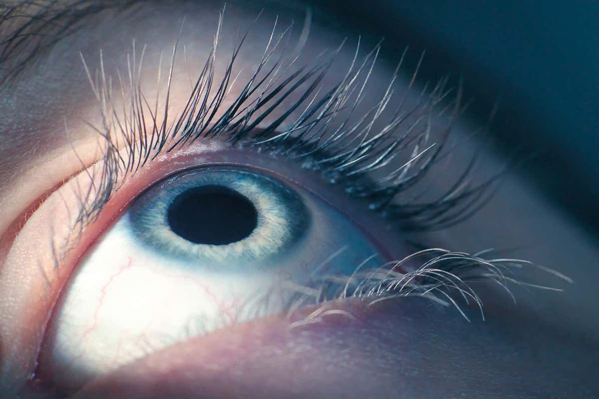 A close-up of an eye