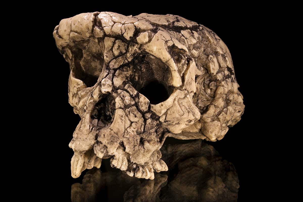 New Scientist. Science news and long reads from expert journalists, covering developments in science, technology, health and the environment on the website and the magazine.